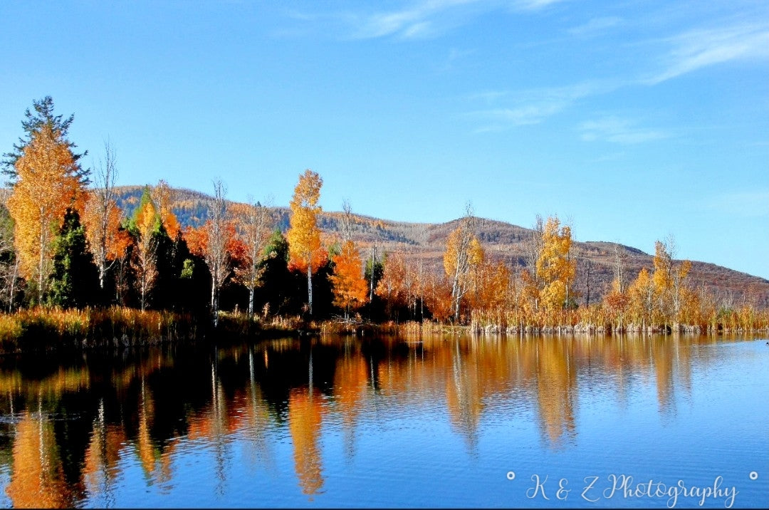 Reflective Pond Landscape Photography Canvas 8x10