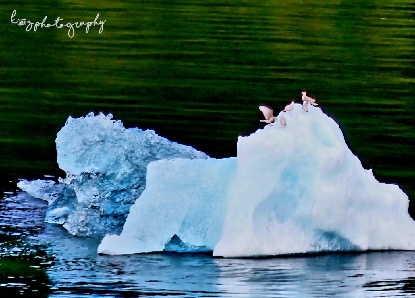 Alaskan Wildlife Landscape Photography Canvas 8x10